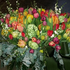 Tulp mix voorjaar